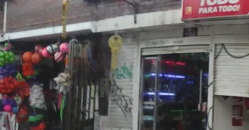 RINOLGRIFOS CALLE 30 CON 5 RINOLGRIFOS CALLE 30 CON 5